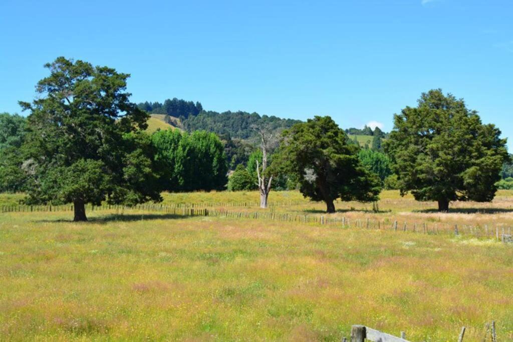 Riverlea Cottage - Cosy, Comfy, Quiet, Central Taumarunui Exterior foto